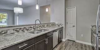 Nexus at Sandhill Apartment Homes Gallery 32