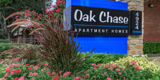 Oakchase Gallery 8