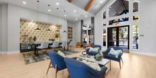 Allora Pines Gallery 37