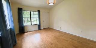 COZY 2/2 SE Townhome with Plank Floors, W/D, Stainless Steel Appliances, Carport, & W/D! Avail NOW for $1495 Gallery 8