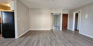 Close to Stapleton - Anschutz - DIA - Renovated 1 Bedroom With Balcony Gallery 3