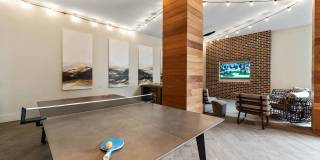 Knox at Metrocenter Gallery 14