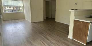 12591 Equestrian Cir Gallery 31