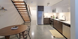 Rooster Gallery 6