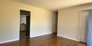 3 bedroom home near Wire Park Gallery 9