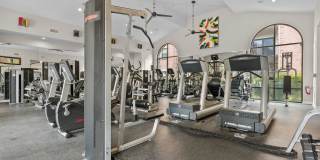 Melia Medical Center Gallery 24