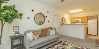 Willow Glen Gallery 25
