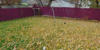 26436 COUZENS Avenue Gallery 19