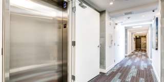 NOHO 55 Luxury Living Gallery 4