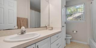 3528 Leighton Hall Court Gallery 20