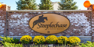 Steeplechase at Parkview Gallery 16