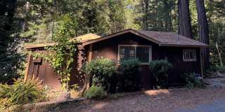 Cozy Cabin near downtown Boulder Creek Gallery 1