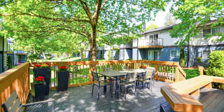 Tessera Apartments Gallery 17