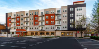 The Stories Gallery 42