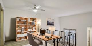 Arrive Bellevue Gallery 17