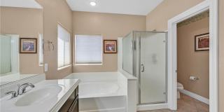 1110 Tropical Star Lane Gallery 12