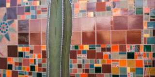 Avilla Preserve Gallery 29