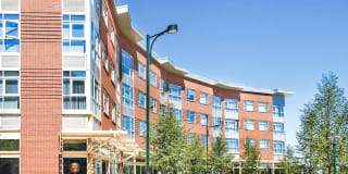Crescent Flats Gallery 2