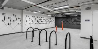 The Centerpointe Gallery 37