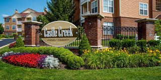 Castle Creek Gallery 1