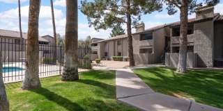 533 W GUADALUPE Road Gallery 58