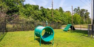 Carrington at Champion Forest Apartments Gallery 16
