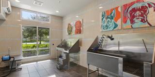 The Lotus at Starkey Ranch Gallery 38