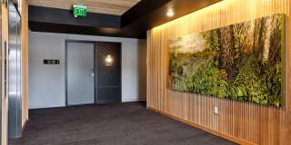 Esox House Gallery 91