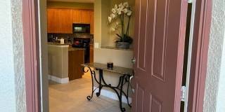 10602 Camarelle Circle Gallery 3