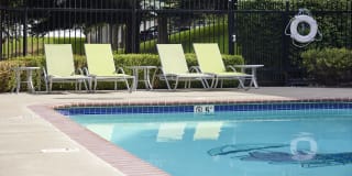 Whimsical Pig Gallery 8