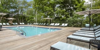 Avana Weymouth Gallery 15