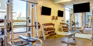 Elan East Gallery 24