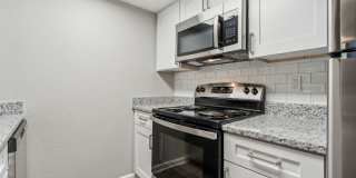 Buena Vista Gallery 72