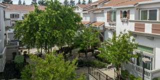 Adora Townhomes Gallery 30