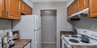 Meadow Wood Gallery 4