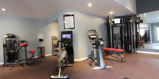 TGM Worthington Green Gallery 20