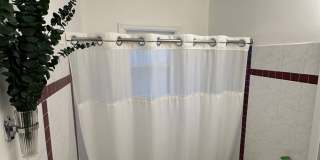 202 E Foster Ave Gallery 4