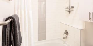 Magnolia at West Lemmon Gallery 15