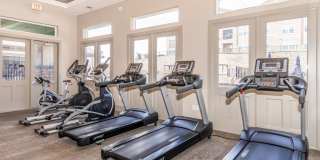 Ryze at Sunfield Gallery 19