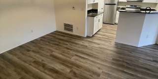 2 Bed, 2 bath in Quiet Community. New HVAC, New Flooring. Community pool and clubhouse access. MOVE IN INCENTIVES! Gallery 29