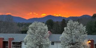 Ridge View Gallery 1