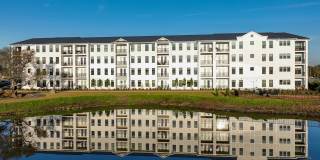 Proximity Carolina Beach Gallery 21