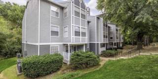 Timber Hollow Gallery 7