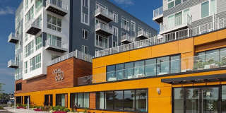Ocean 650 Gallery 25