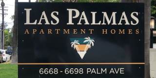 Palm Rose Gallery 11