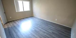 10332 Caminito Aralia Gallery 12