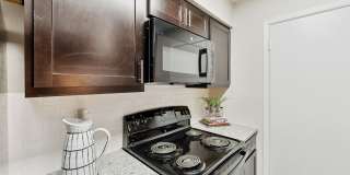 Altamonte Gallery 14