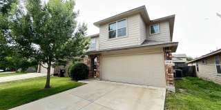 15549 Gray Catbird Gallery 1