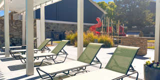 Windrush Apartments Gallery 20