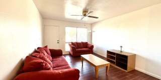 1 and 2 Bedrooms Great Location with Community Pool and Onsite Laundry! 1/2 of Mile from U of A Gallery 7